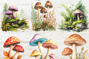 Watercolor Mushrooms Clipart Bundles