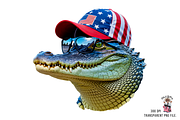 Alligator Png, Patriotic Png Bundle, an Illustration by Clipart Bloom (Thumbnail 8 of 11)