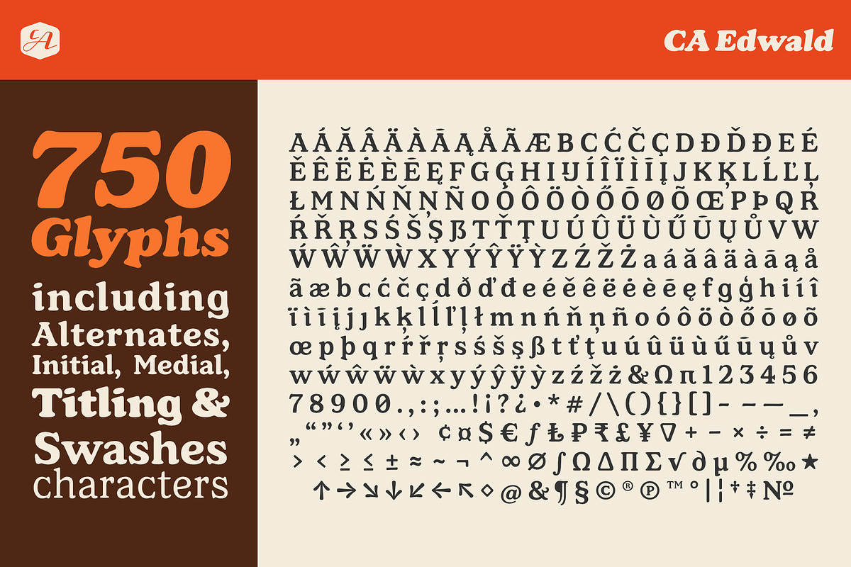 CA Edwald, a Serif Font by Cape Arcona Type Foundry (Photo 10 of 10)