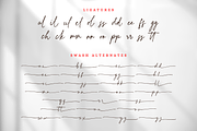 Hildera Script, a Script Font by Sronstudio (Thumbnail 15 of 15)