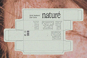 Atelier Femme // Modern Font Trio, a Serif Font by PeachCreme (Thumbnail 2 of 14)