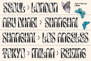 TAN - LIEBE, a Font by TanType (Thumbnail 6 of 12)