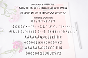 Filing Lovely | Script Font, a Script Font by Scratchones (Thumbnail 7 of 9)