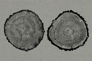 26 Large Tree Ring Textures