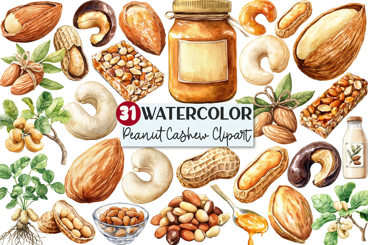 Almond Peanut Cashew Watercolor Clip, an Illustration by Rose Art (Photo 1 of 7)