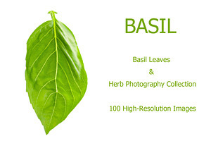 Basil leaves and herb, 100 images