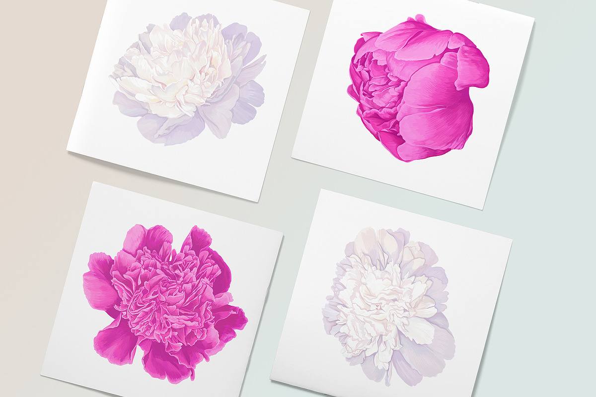 White & Pink Realistic Peonies Set, an Illustration by MarynaPetrovska (Photo 21 of 23)