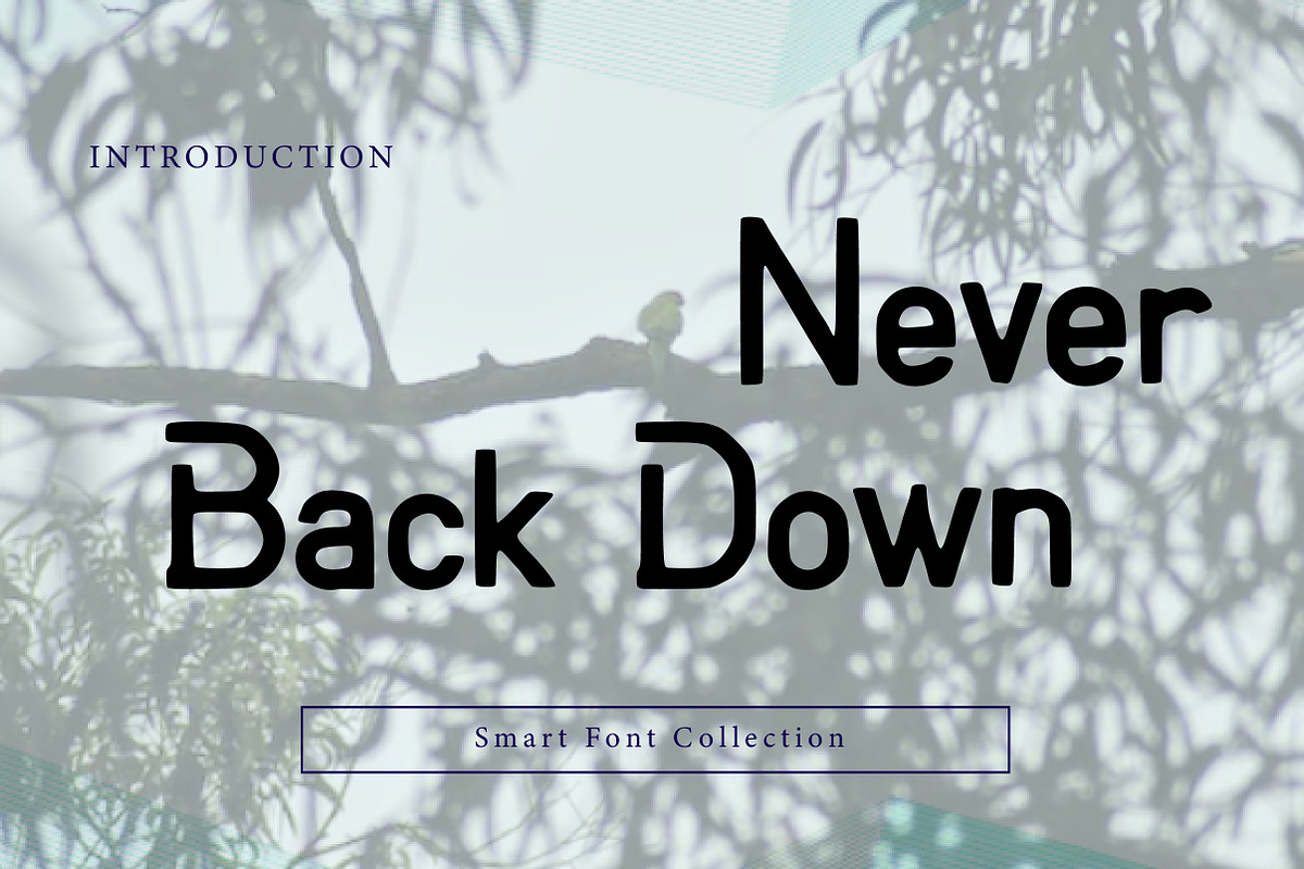 Never back down, a Sans Serif Font by Wow Magic (Photo 1 of 3)