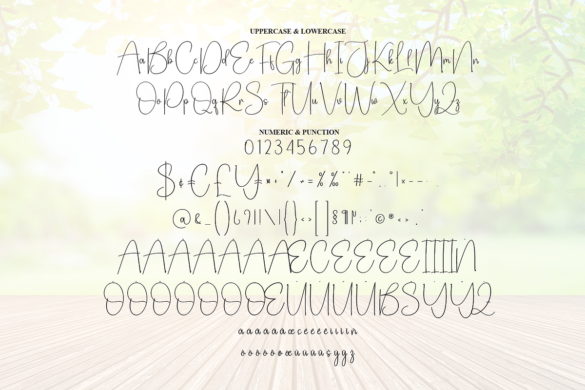 Someday | Script Font, a Handwritten Font by Scratchones (Photo 7 of 9)