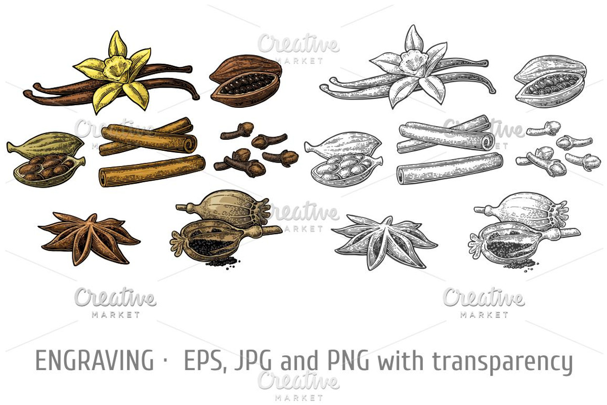 Set spices Anise clove vanilla ..., a Food Illustration by MoreVector