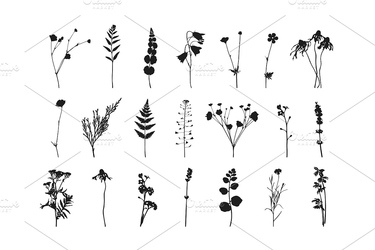 Botanical bundle - svg, png, a Decorative Illustration by Watercolor_Vector Graphic (Photo 5 of 26)