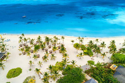 Aerial view of umbrellas, green palms on the sandy beach, a Nature Photo by den-belitsky