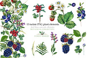 Watercolor Forest berryes, a Food Illustration by FineArt (Thumbnail 3 of 8)