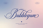 Bubblegum – Modern Classy Script, a Script Font by BrandSemut (Thumbnail 1 of 10)