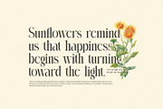 Memory Elegant Serif Font, a Serif Font by Graphicxell (Thumbnail 5 of 8)