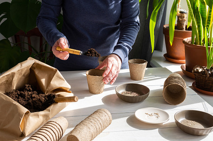 Woman is planting seedlings at home, a Food & Drink Photo by Pandateam