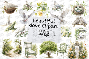 Beautiful Dove Clipart