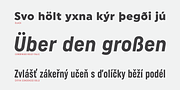 Uniform Pro, a Sans Serif Font by Miller Type Foundry (Thumbnail 4 of 14)