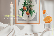 Still Frame Mockups, a Household Mockup by Salt Color Studio (Thumbnail 9 of 15)
