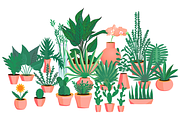 20+ icons of home plants in pots, a Solid Icon by ОльгаМороз (Thumbnail 5 of 14)