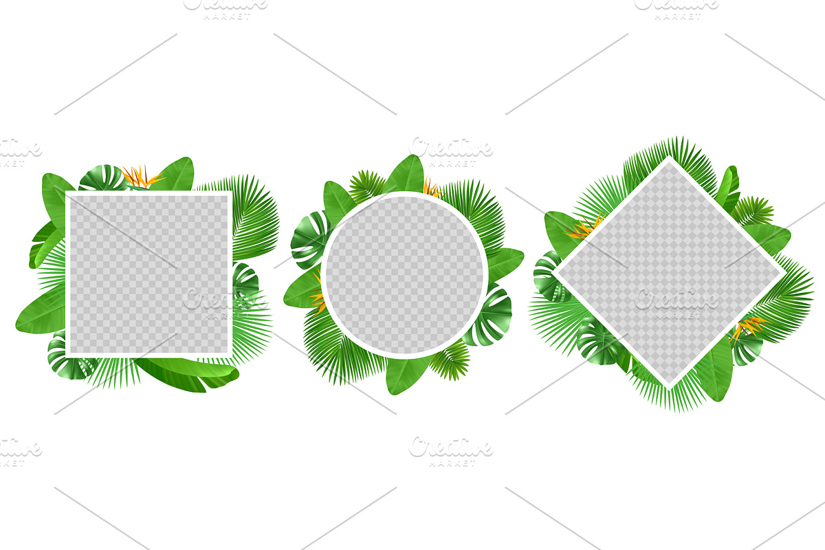 Summer tropical leaves and flowers, an Object Illustration by Vectorbuum