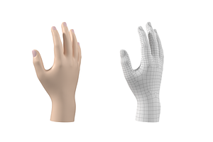 Endomorph Male Hand Base Mesh 02