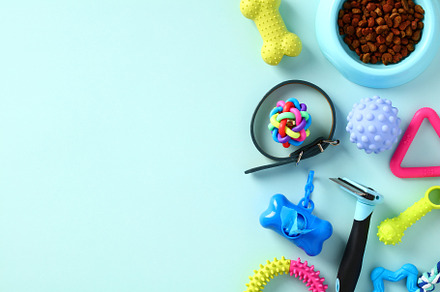 Dog accessories and food on blue background. Flat lay, top view.