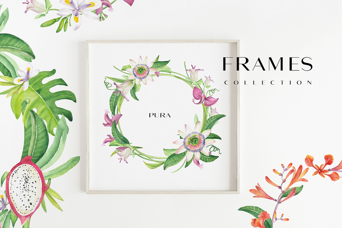 PURA magia de la naturaleza, an Illustration by SoNice (Photo 3 of 12)