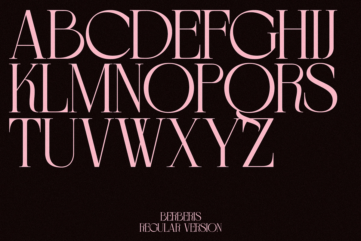 BERBERIS - Display Unique Serif, a Serif Font by Misha Sova (Photo 7 of 14)
