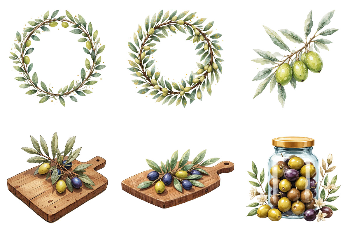 Olives Clipart, Olive Branch, an Illustration by DreamArtGraphic (Photo 4 of 4)