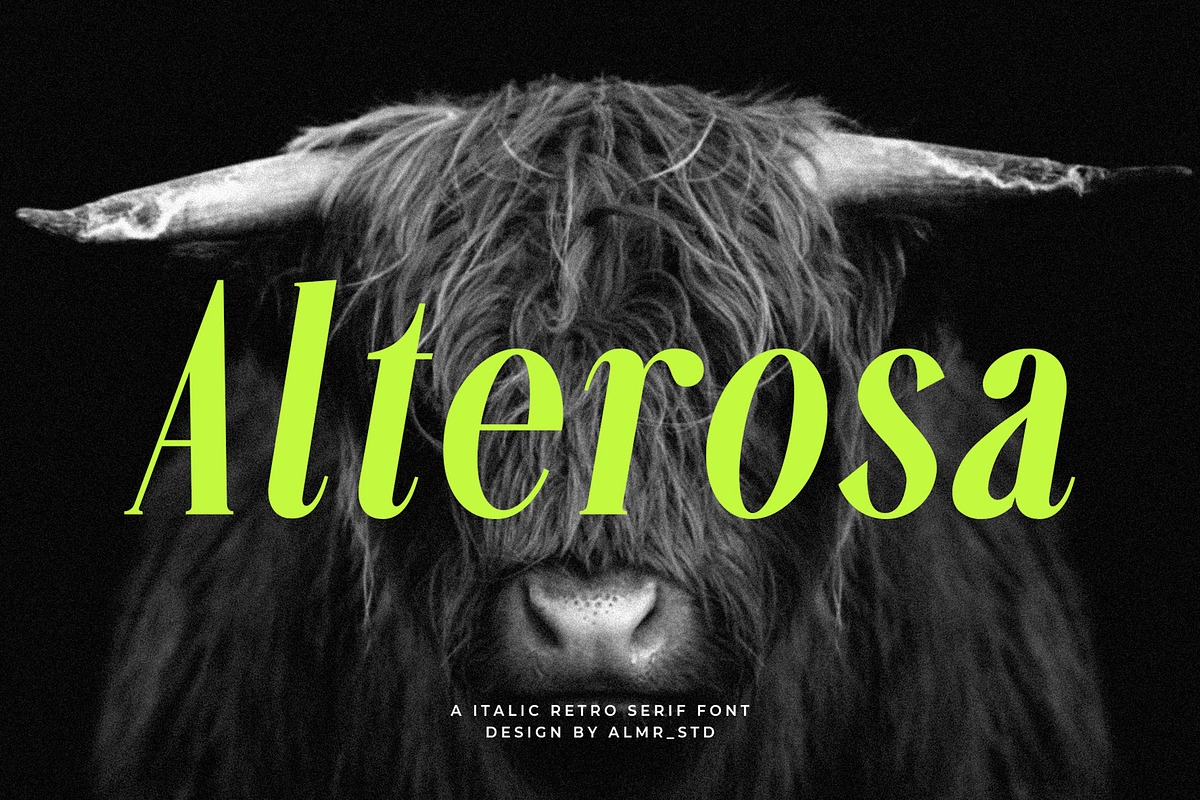 Alterosa - Italic serif font, a Serif Font by Almeera Std (Photo 1 of 6)