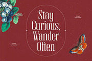 Broswick Bold Tall Display Serif, a Serif Font by timelesstype.co (Thumbnail 9 of 20)