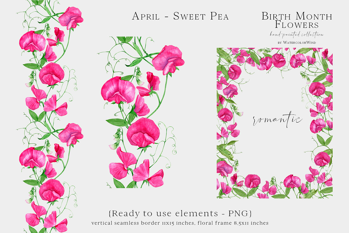 Sweet Pea Birth Month Flower Clipart, an Illustration by WatercolorWind (Photo 4 of 6)