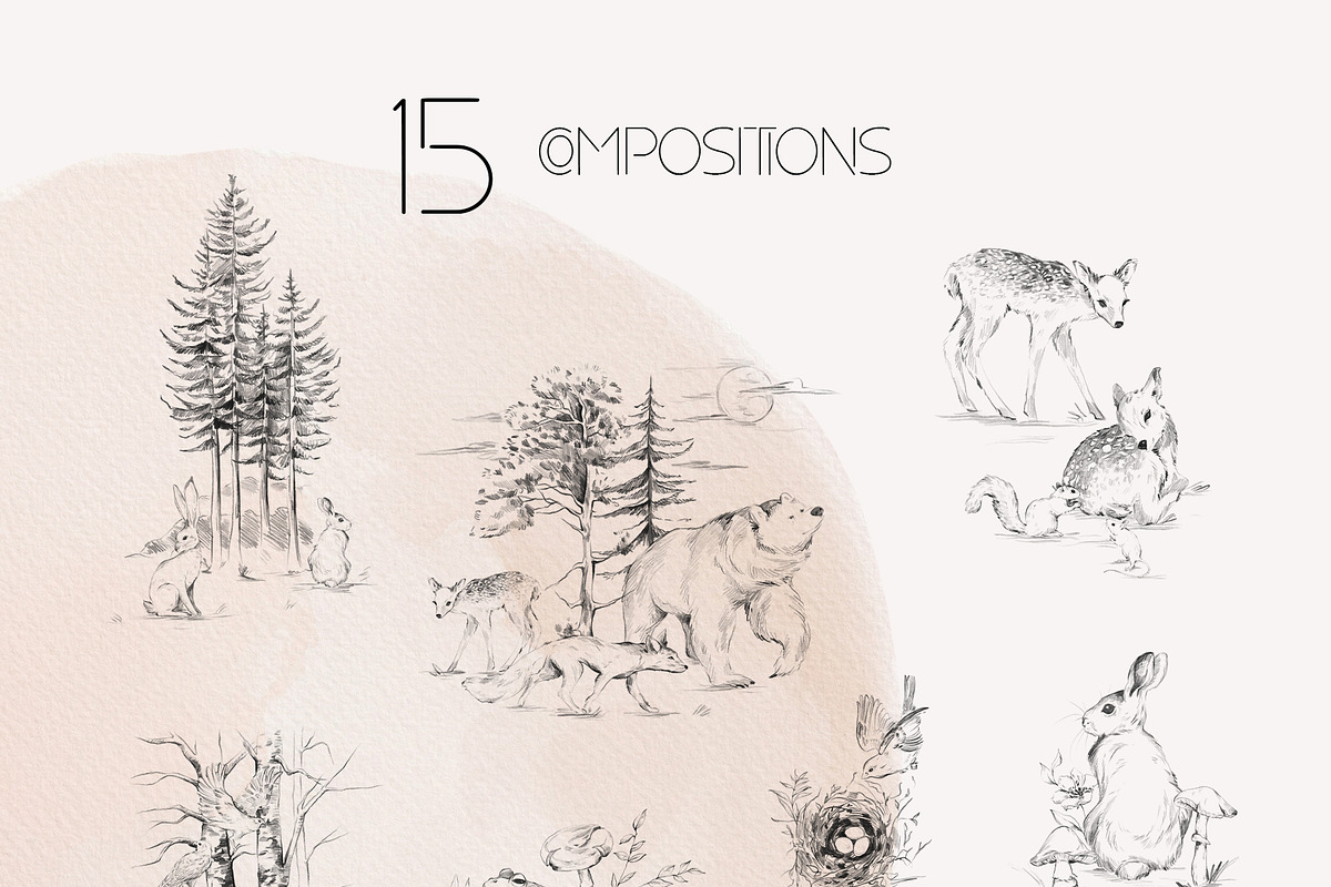 Charming forest - BUNDLE 4 in 1, a Decorative Illustration by Yuliia Lashevska (Photo 21 of 26)