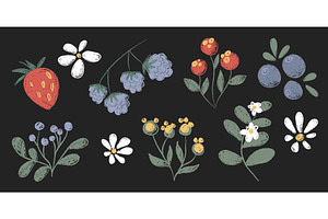 Crayon doodle flowers and berries, an Object Illustration by art PVP - market