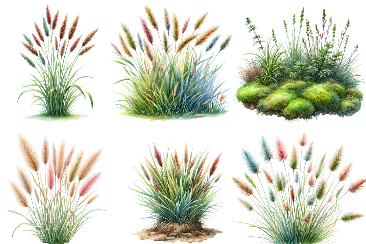 Watercolor Grass clipart, an Illustration by Designworld (Photo 3 of 6)