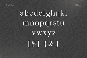 OV Cotin Serif Font Family