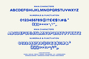 Tequila Sunrise Typeface Pack, a Script Font by Nicky Laatz (Thumbnail 21 of 21)