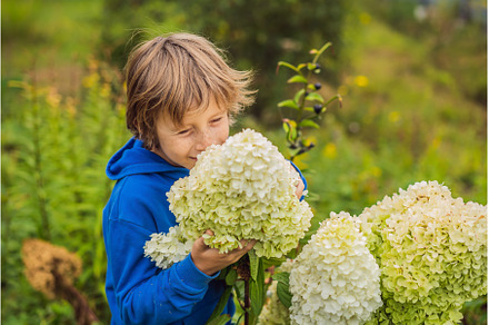 Boy enjoying pink flowers in the, a Nature Photo by Elizaveta Galitskaya