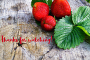 Vector garden strawberry, an Illustration by TashaDraw (Thumbnail 7 of 7)