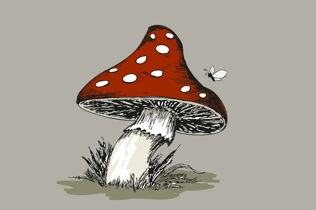 Mushroom Amanita with grass, a Food Illustration by Alena Kaz