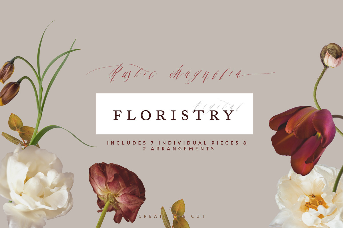 Digital Floristry - Rustic Magnolia, an Illustration by Create The Cut (Photo 5 of 6)