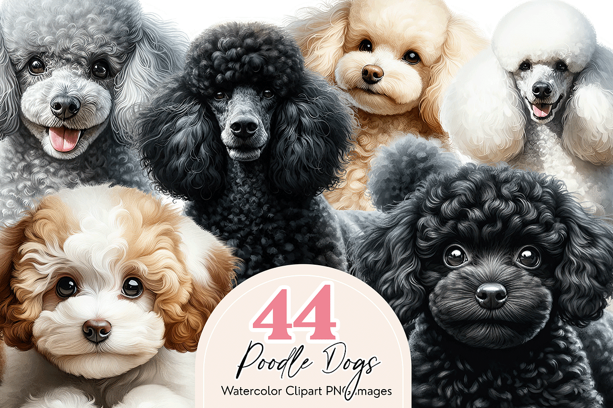 Poodle Clipart Bundle, an Animal Illustration by Bijou Bay (Photo 1 of 4)