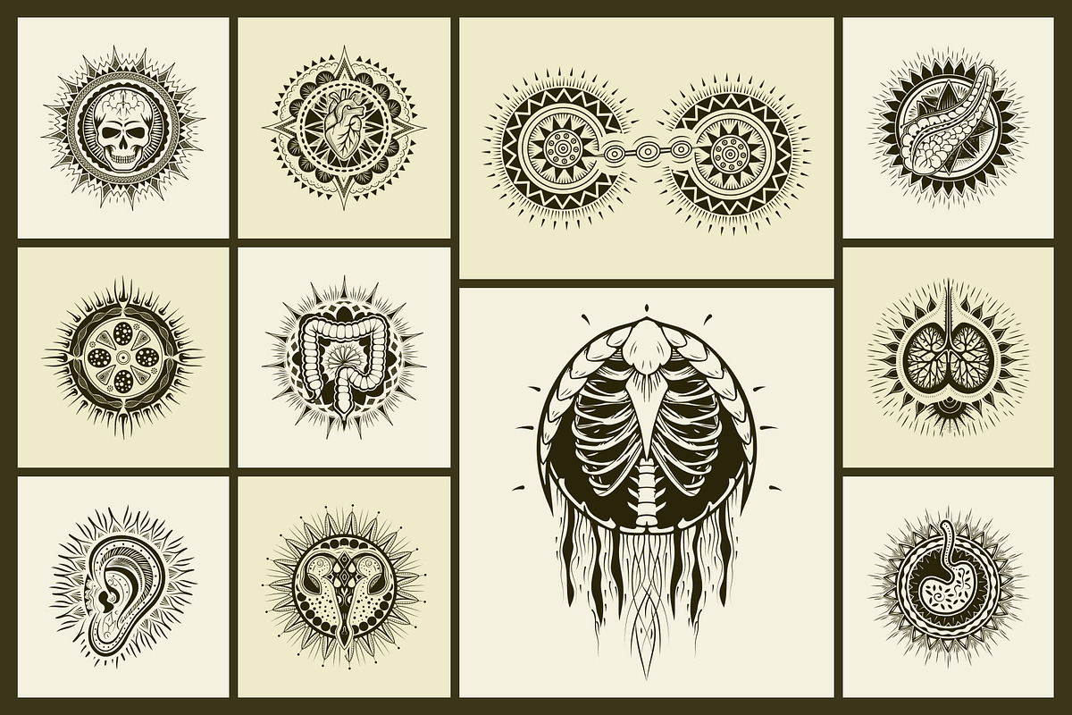 100 Anatomical Illustrations Set, an Education Illustration by Prosymbols (Photo 6 of 11)