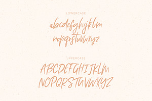 Artemis // A Hand-Lettered Script