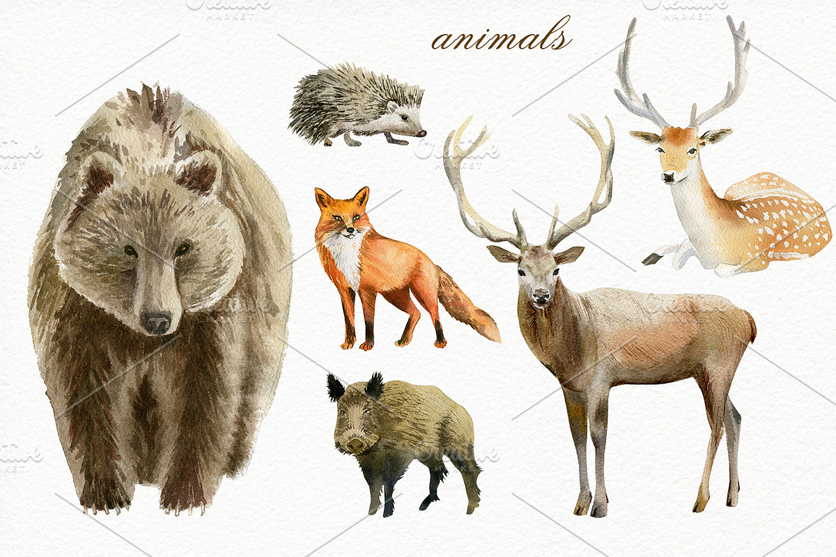 Forest watercolor designer toolkit, an Animal Illustration by Elegantia (Photo 8 of 28)