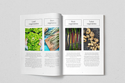 Everyday Veggies Recipe Book, a Magazine Template by SonaGeciova (Thumbnail 7 of 17)