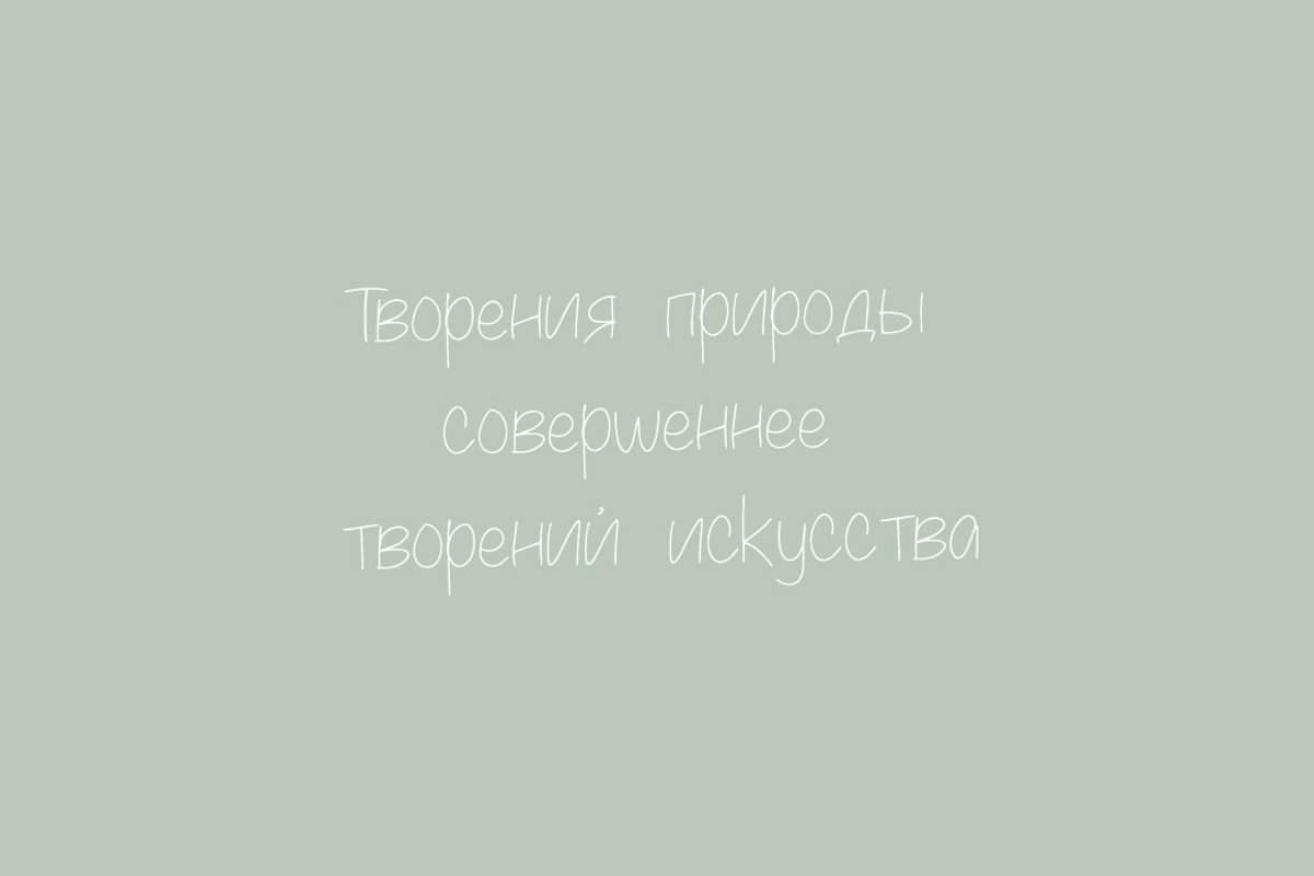 Palmetto - Cyrillic & Latin, a Font by Katie Holland (Photo 5 of 7)