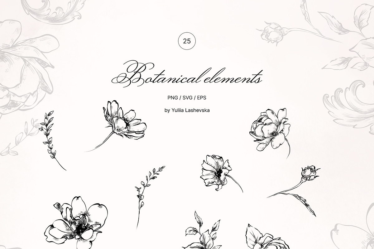 Sylvia vintage baroque floral frames, a Decorative Illustration by Yuliia Lashevska (Photo 8 of 9)
