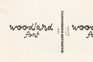 Woodland Hand Drawn Marker Font